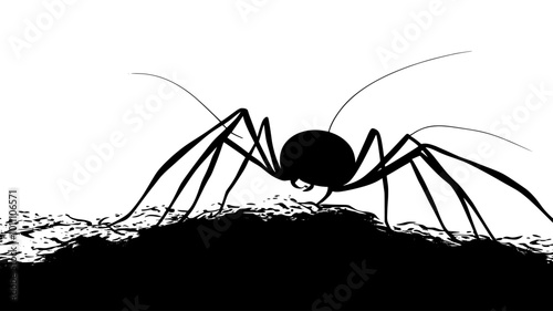 Harvestman exploring a rough surface, using its legs for balance, vector illustration art