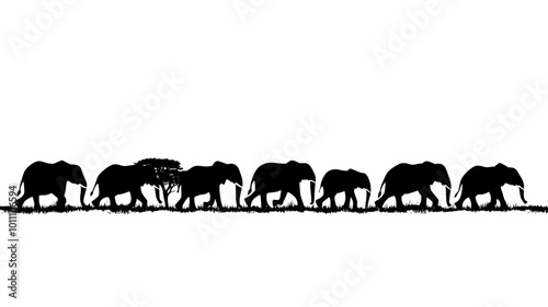 Herd of elephants walking in a line across wide field, vector illustration art