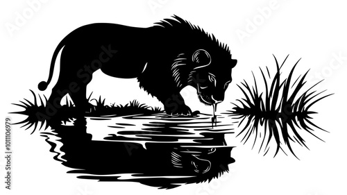 Lion drinking from shallow stream, reflection visible on surface, vector illustration art