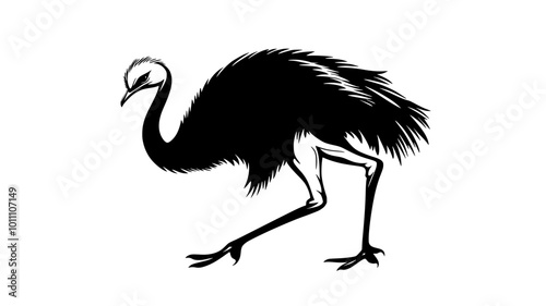 Ostrich kicking with powerful legs in a defensive posture, vector illustration art