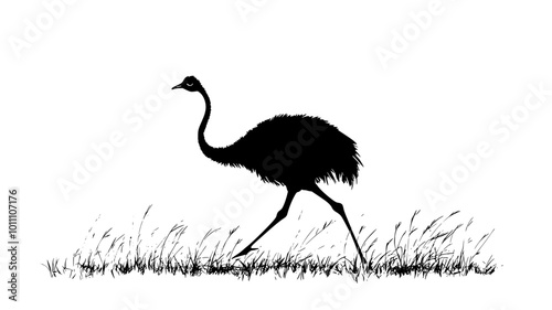 Ostrich running across the savanna with neck extended forward, vector illustration art