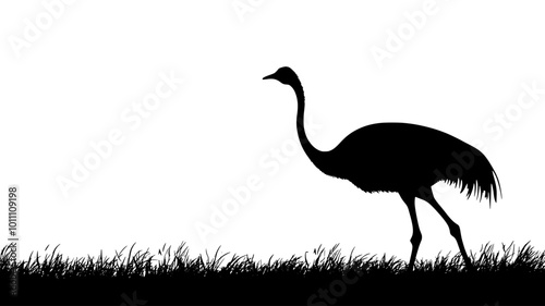 Ostrich standing in an open field, neck extended high, surveying the area, vector illustration art
