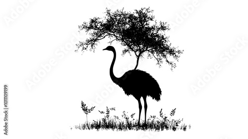Ostrich stretching its neck upward, reaching for leaves on a tall tree, vector illustration art
