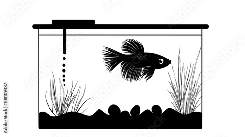 Betta fish fry in a grow-out tank with sponge filter, vector illustration art