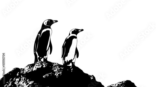 Galapagos penguins standing on lava rocks near the equator, vector illustration art