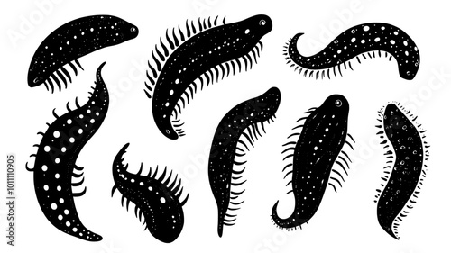 Group of sea cucumbers in various stages of movement across the sand, vector illustration art