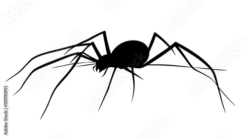Harvestman moving across a flat surface, searching for food or shelter, vector illustration art