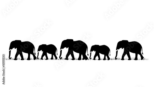 Herd of elephants walking in a line across wide field, vector illustration art