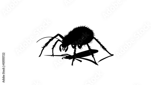 A mite walking across a smooth surface, exploring with its front legs, vector illustration art photo