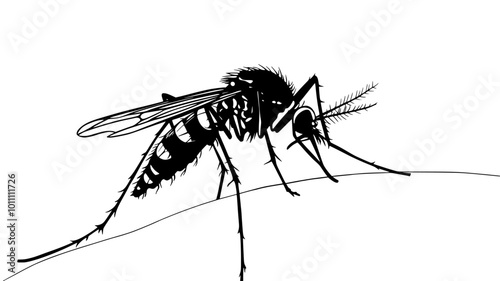 Mosquito perched on human skin with proboscis inserted, vector illustration art