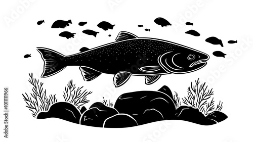 Salmon swimming past underwater rocks, its body moving smoothly through the clear water, vector illustration art