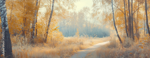 A peaceful forest path illuminated by soft sunlight, surrounded by trees with vibrant yellow autumn leaves and tall grass.