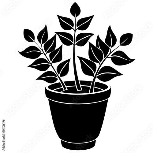 plant in pot