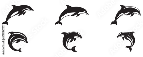 dolphins isolated on white background