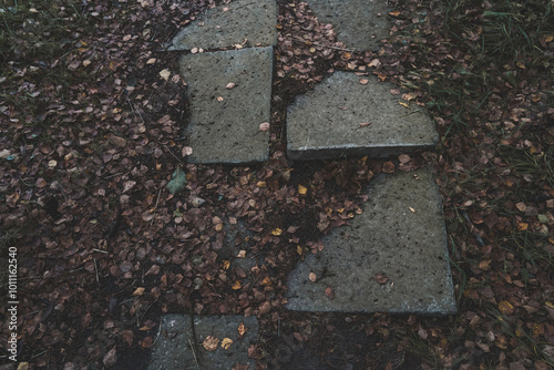 Old paving slabs sticking out of the ground covered with dry foliage