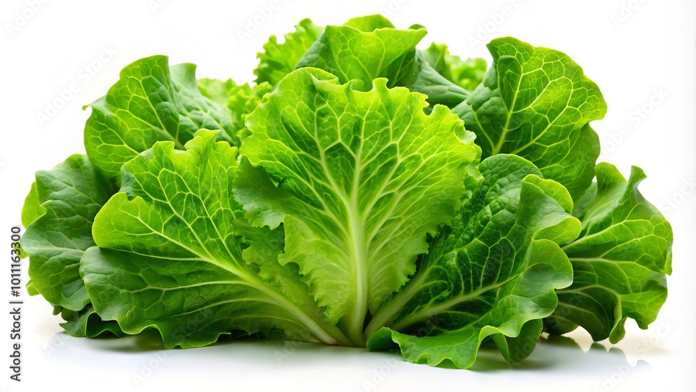 Fresh Variety of Lettuce Leaves Isolated on White Background for Healthy Eating, Salad Recipes, and Culinary Fresh Variety of Lettuce Leaves Isolated on White Background for Healthy Eating, Salad Recipes, and Culinary