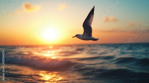 Seagull Flying Over Ocean Sunset