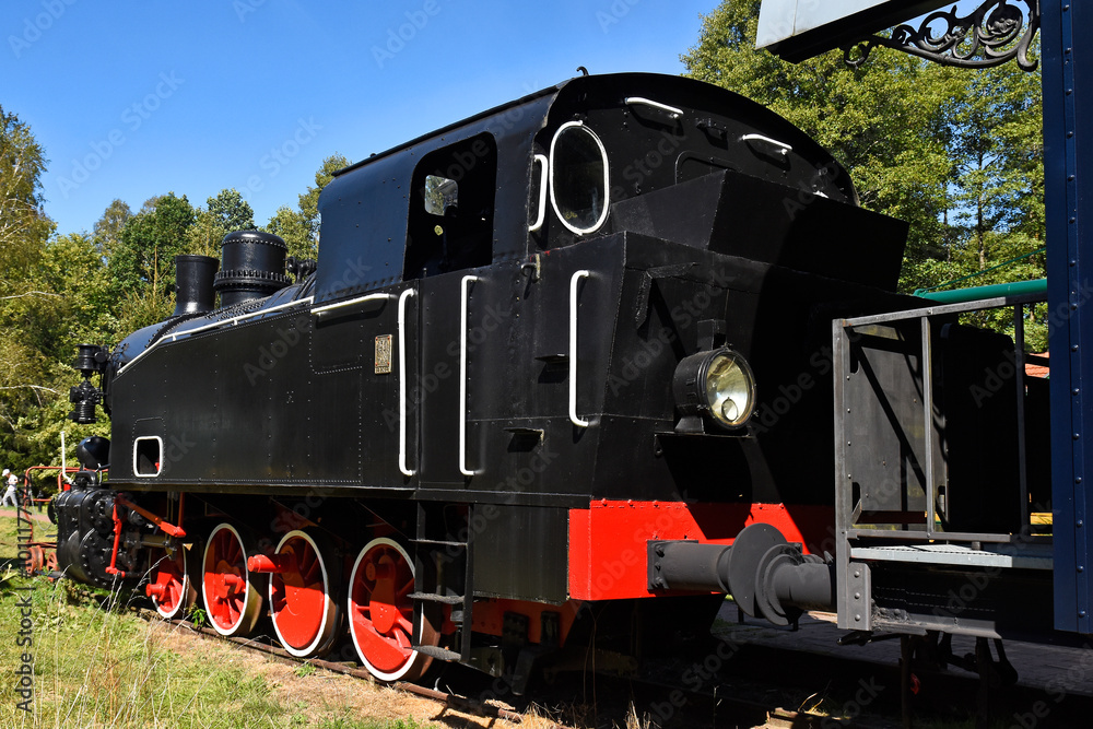 Naklejka premium Old locomotive in a state of rest, Białowieża, Poland