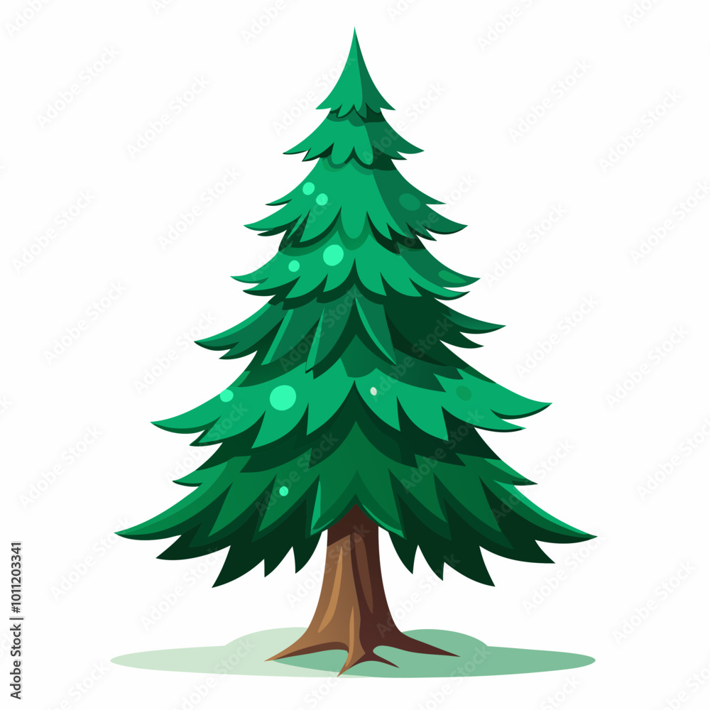 vector illustration of spruce vector illustration of spruce