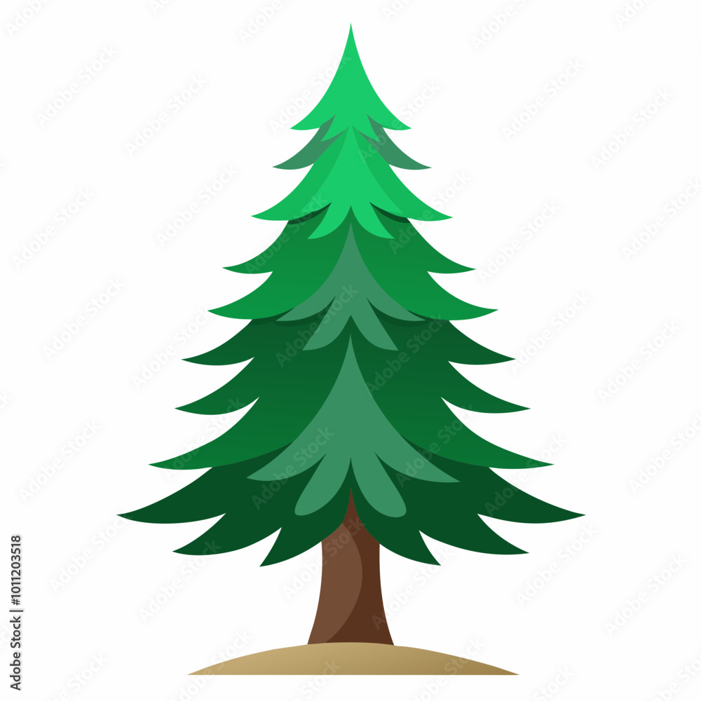vector illustration of spruce vector illustration of spruce