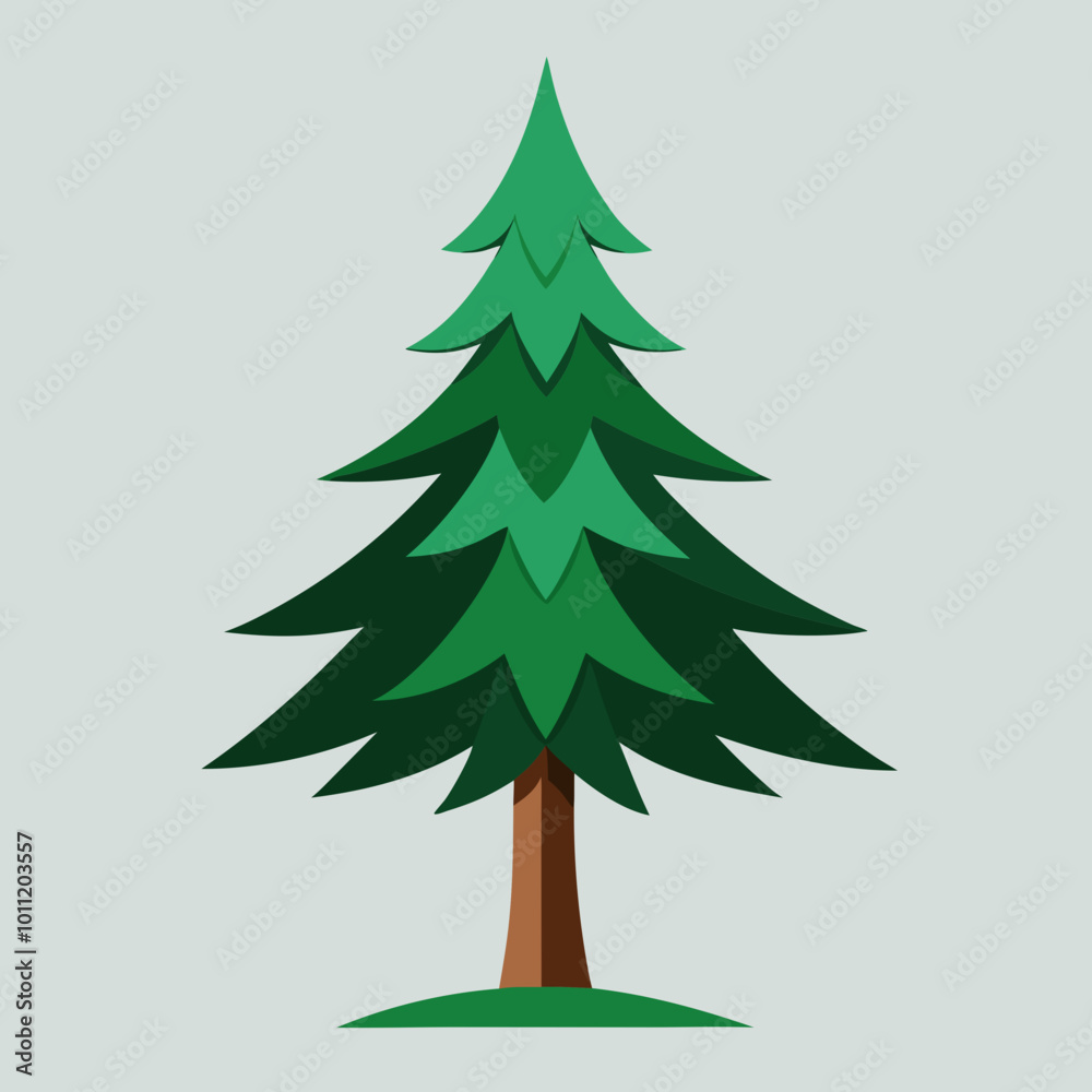 Fototapeta premium vector illustration of spruce