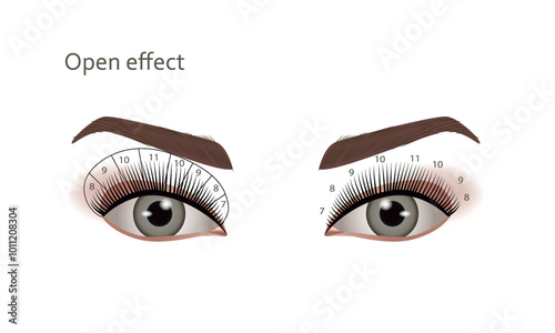 Eyelash Extensions. Open Effect, Vector