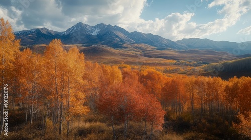 Autumn on Kebler Pass