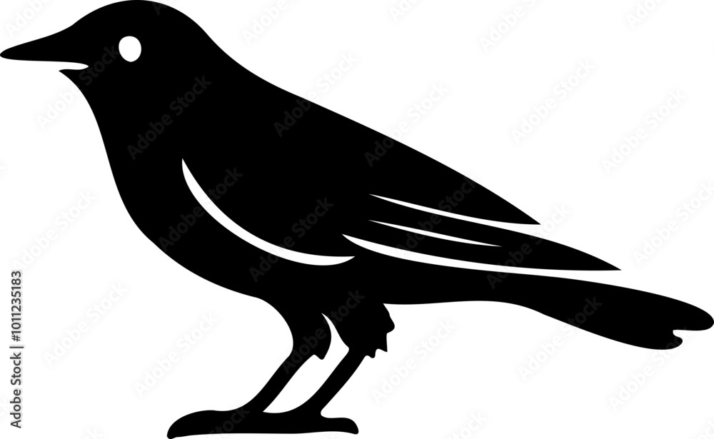 Fototapeta premium Shadow silhouette of a crow, eerie halloween bird with dark and spooky presence 