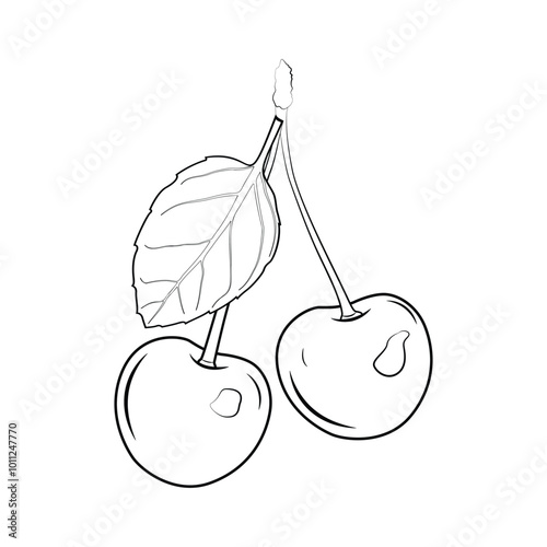 cheerry coloring pages