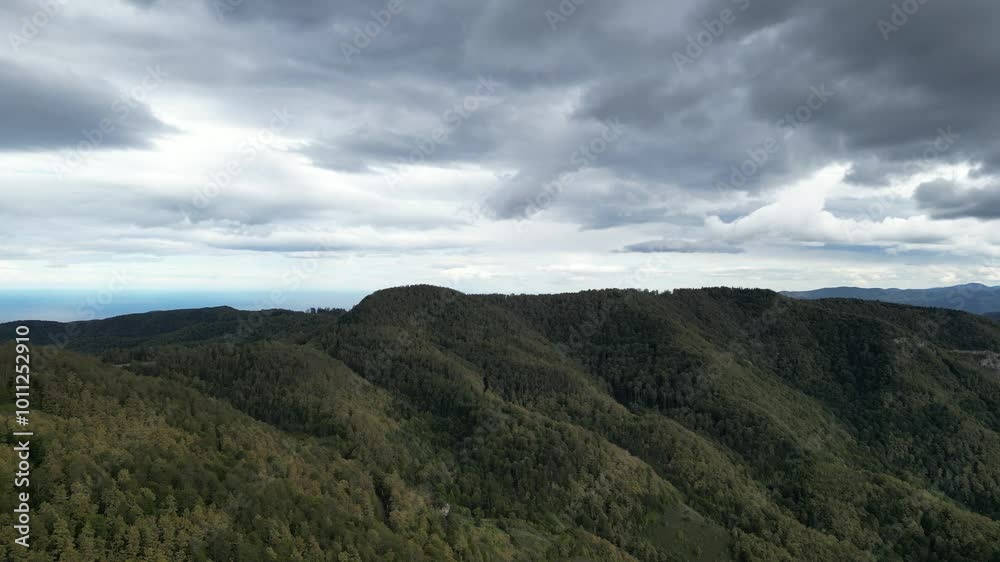 Küre Mountains in the Black Sea region of Turkey. Magnificent Black Sea forests, magnificent wild forests and mountains. Black Sea wild forests. Drone video footage of high mountains and forests. Küre Mountains in the Black Sea region of Turkey. Magnificent Black Sea forests, magnificent wild forests and mountains. Black Sea wild forests. Drone video footage of high mountains and forests.