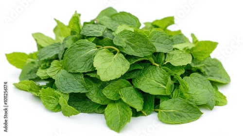 A pile of mint leaves, isolated on a pristine white background, capturing their rich green hues and delicate texture for botanical or culinary purposes.