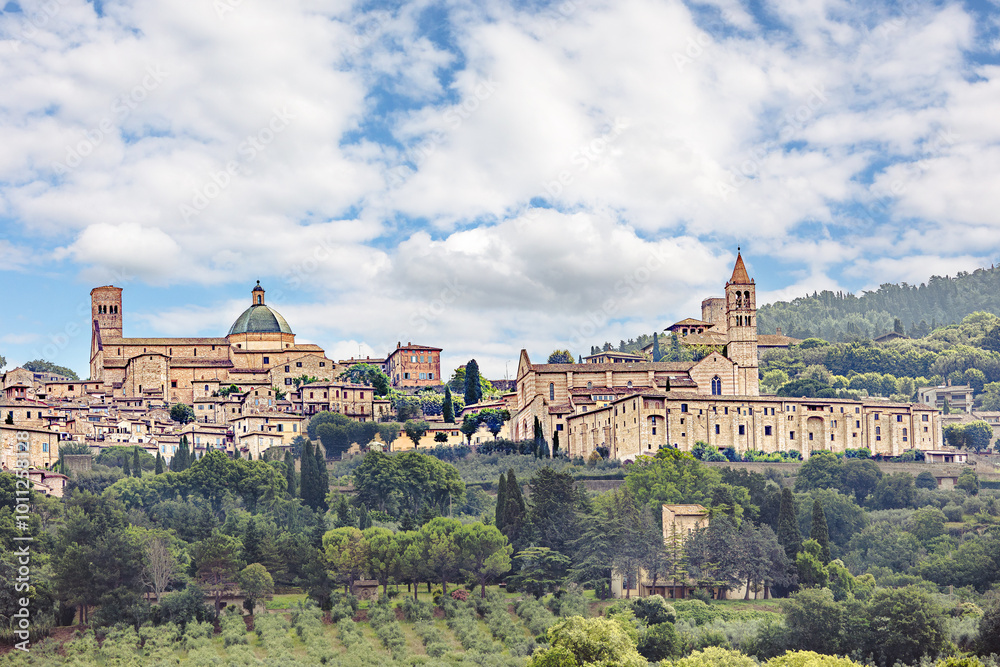 Obraz premium View of medieval town of Assisi, Umbria , Italy. Assisi, one of the most visited places of pilgrimage, the birthplace of St. Francis and St. Clare (Umbria, Italy).