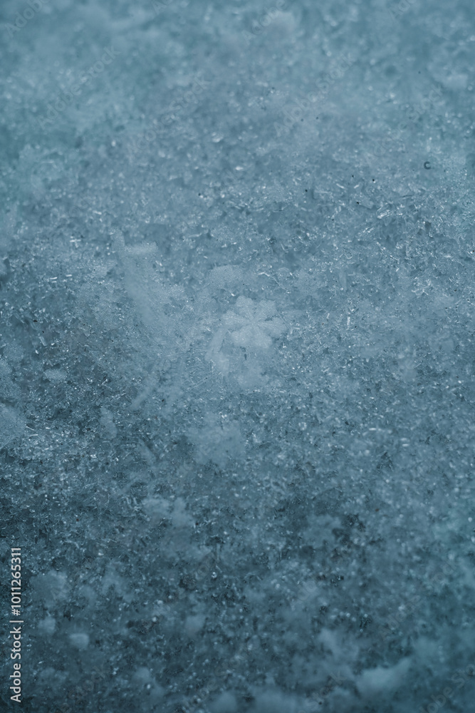 Macro picture of snow with crystals in good view. Natural snowflakes on snow. Photo of real snowflakes during a snowfall, under natural conditions at low temperature. Macro picture of snow with crystals in good view. Natural snowflakes on snow. Photo of real snowflakes during a snowfall, under natural conditions at low temperature.