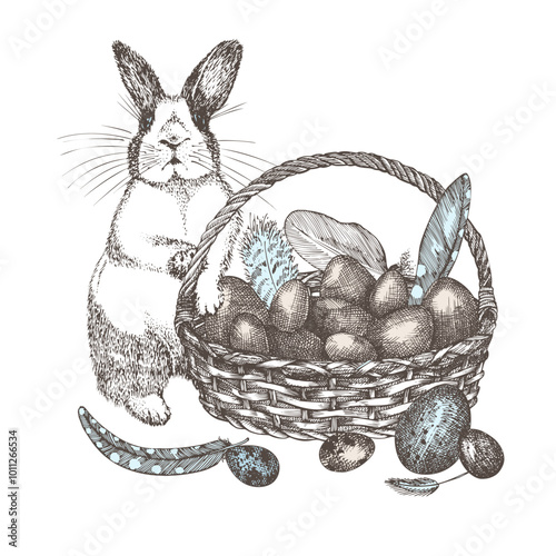 Wicker basket with eggs, bird pen. Hand drawn sketch rabbit, retro rustic style. Idea for farmers market flyers, banner, advertising. Colored vintage vector illustration. Isolated on white background.