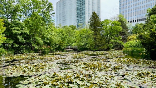 spring in the park