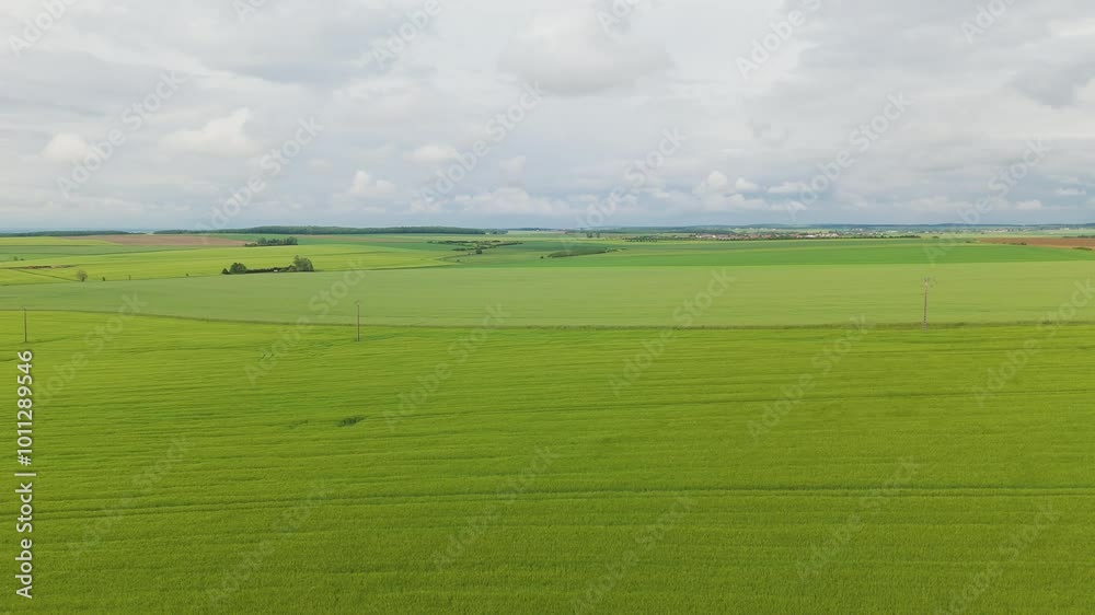 A large green field. Aerial drone view A large green field. Aerial drone view