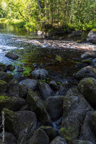 Karelian vertical landscape photo with an empty rocky river coast