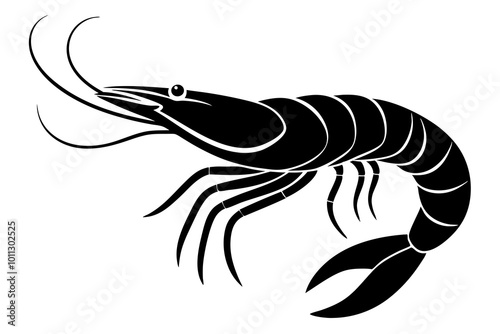 illustration of a shrimp