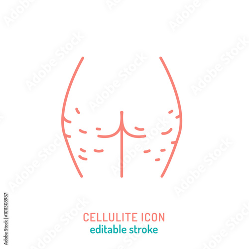 Cellulite outline icon. Gynoid lipodystrophy linear pictogram.