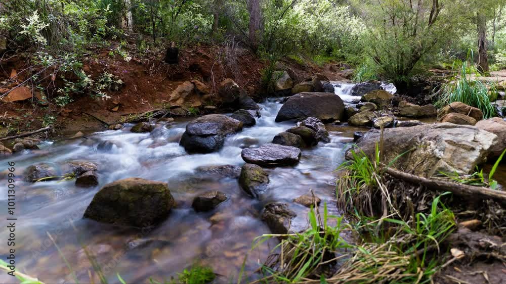 4k Timelapse of water stream, waterfall, over rocks in forrest, Lesmurdie falls Perth, Western Australia 4k Timelapse of water stream, waterfall, over rocks in forrest, Lesmurdie falls Perth, Western Australia