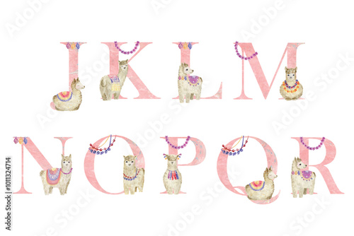 Photography Watercolor animals letters.