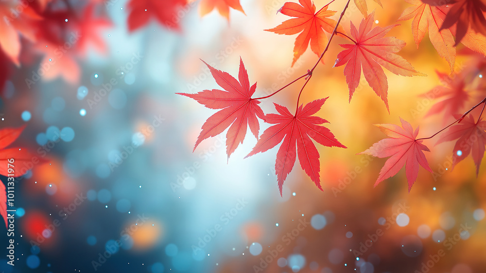 Maple Leaves Creating a Stunning Autumn Backdrop Full of Color Maple Leaves Creating a Stunning Autumn Backdrop Full of Color