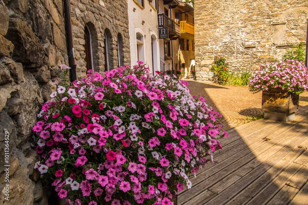 Fototapeta premium Italian Alps landscape in summer