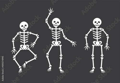 Set of skeletons for Halloween decoration.