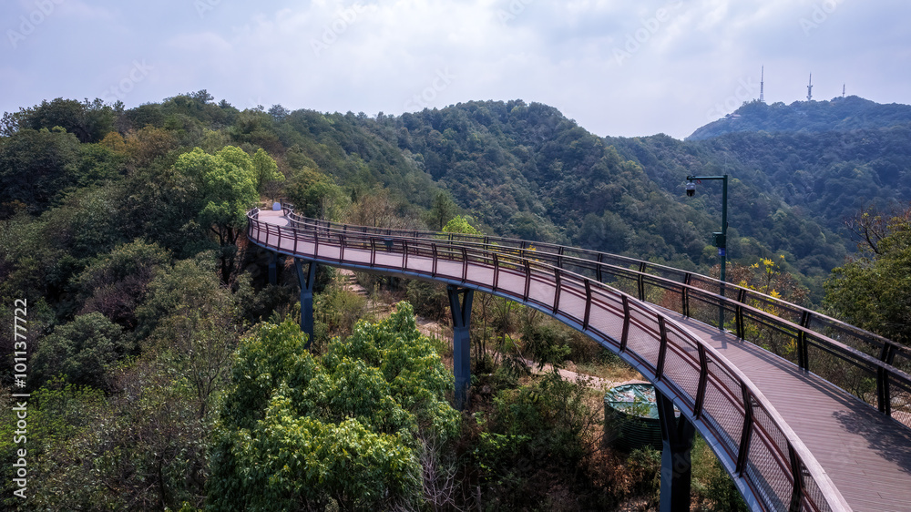 Scenic Elevated Walking Path Through Lush Green Hills Scenic Elevated Walking Path Through Lush Green Hills