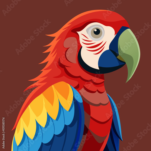 red and yellow macaw