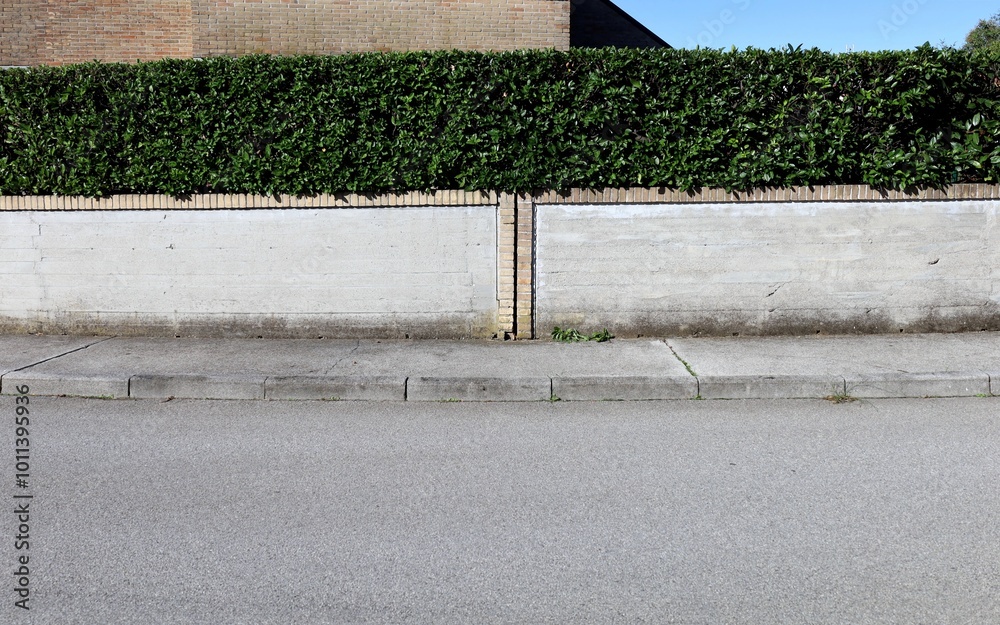 custom made wallpaper toronto digitalHouse fence made of prefab concrete wall bordered by a row of bricks and hedge on top . Brick wall and sky on behind. Cement sidewalk and street in front. Background for copy space..