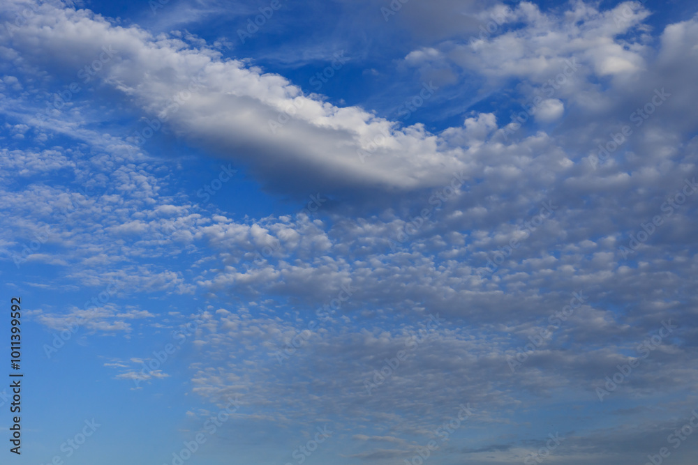 秋の空 秋の空