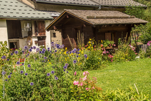 French Alps landscape in summer