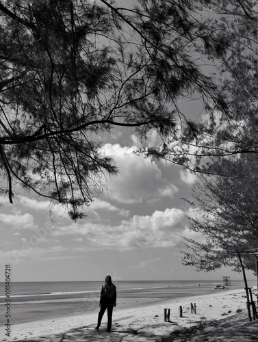 Beautiful pine forests create shade in summer on Ujung Pandaran beach, Sampit city, which is famous for its beautiful sandy beaches photo